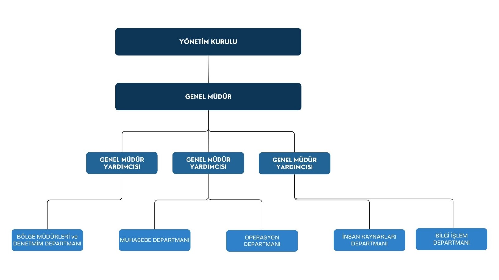 Organizasyon Şeması